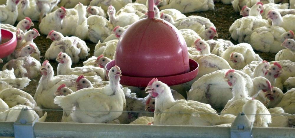 Foto: Arquivo/Agência Brasil