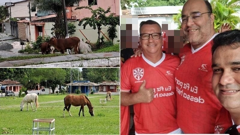 Foto: Reprodução