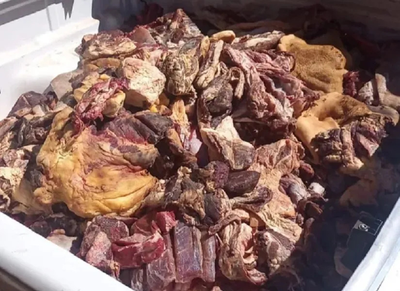 FPI informou que durante a inspeção ainda foram encontradas carnes em processo de decomposição - Foto: Divulgação | FPI-BA