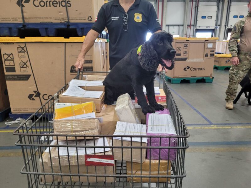 Todo o material apreendido será encaminhado para o Departamento de Polícia Técnica (DPT) - Foto: Nathalia Verena | Ascom PC