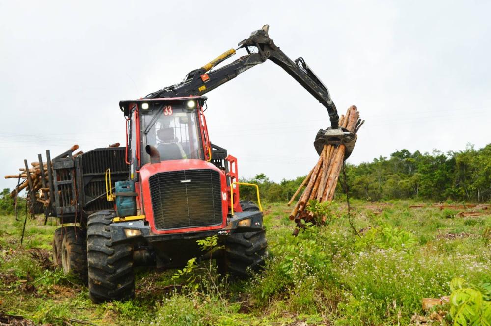 Senai e Bracell iniciam inscrições para curso de formação de profissionais para área florestal na Bahia