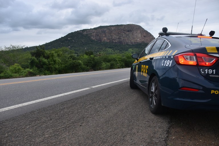 Apreensão aconteceu durante uma fiscalização de trânsito no Km 204 - Foto: Divulgação | PRF