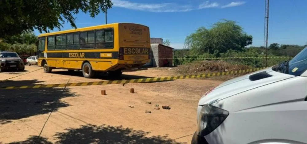 Foto: Reprodução/Portal do Cerrado