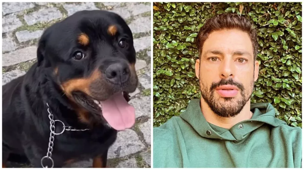 Cauã Reymond e seu cachorro, Romeu Crédito: Reprodução/Instagram