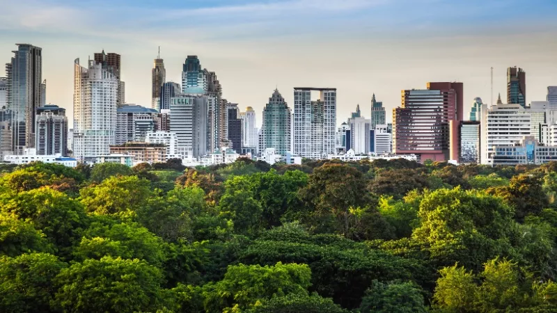 Paralelo entre Financiamento Global e Brasileiro ao Risco Associado às práticas de Desmatamento: Um Reflexo da Dinâmica Econômica e Ambiental