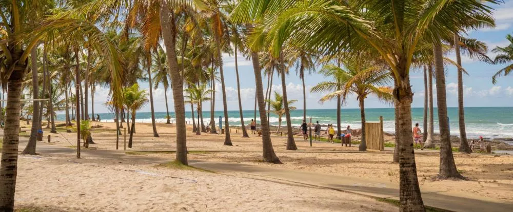 Crimes Imobiliários: Um Paralelo entre Toronto e o Litoral Norte da Bahia