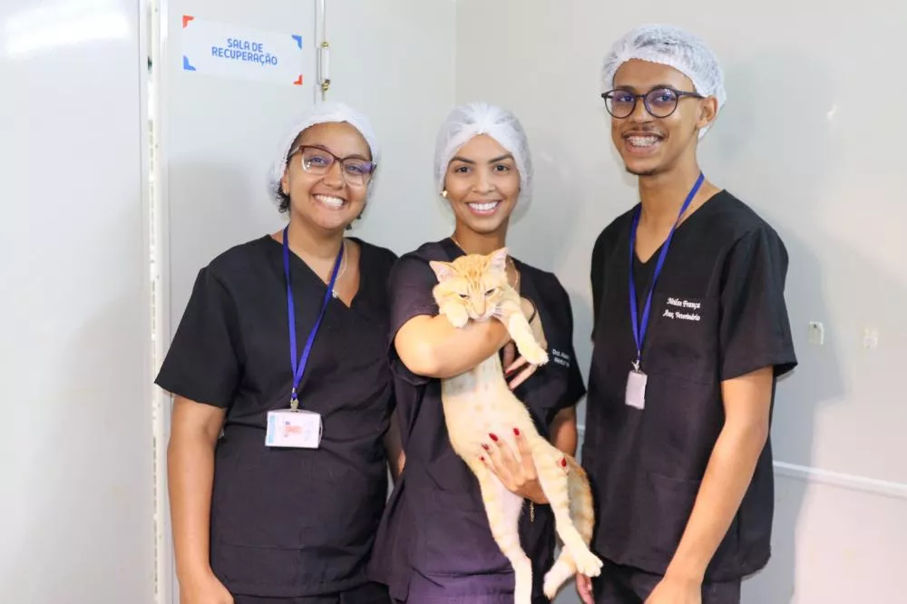 Castramóvel de Mata de São João alcança a marca de 1.000 cirurgias em 2024