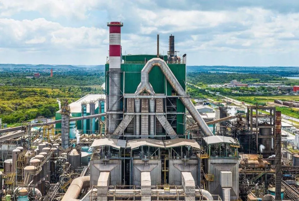 Foto: Acervo Bracell