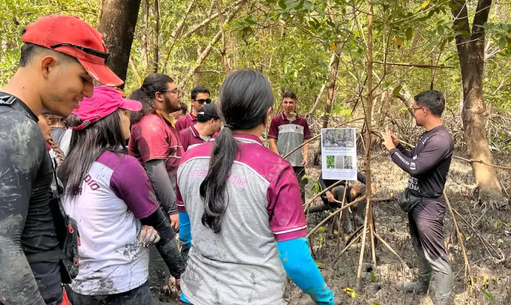 © Projeto Mangues da Amazônia/Divulgação