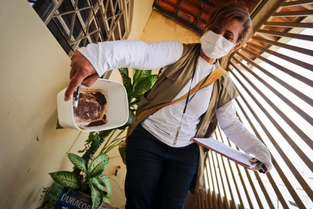 Breno Esaki/Agência Saude