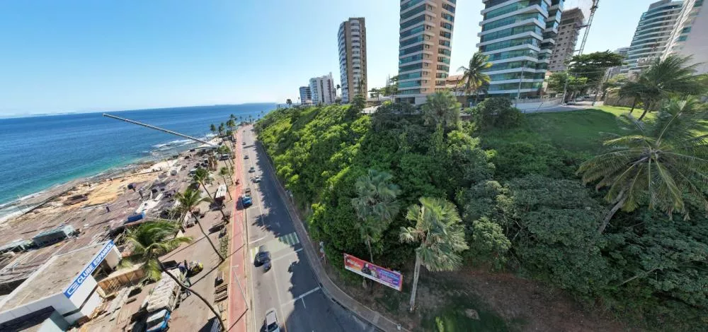 Anulação de Leilão de Àrea Verde Pela Prefeitura Reacende Debate Sobre Transparência