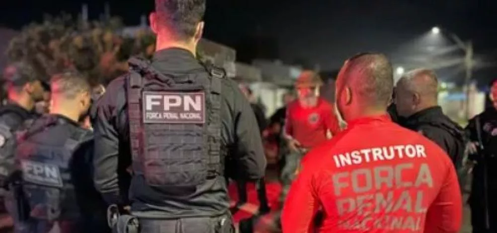 Divulgação