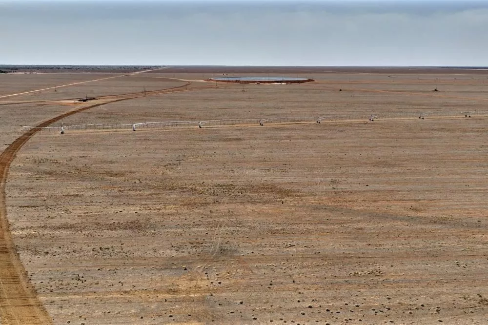 “Desmatamento Legalizado”: o escândalo ambiental que devora o Cerrado baiano sob o silêncio da lei
