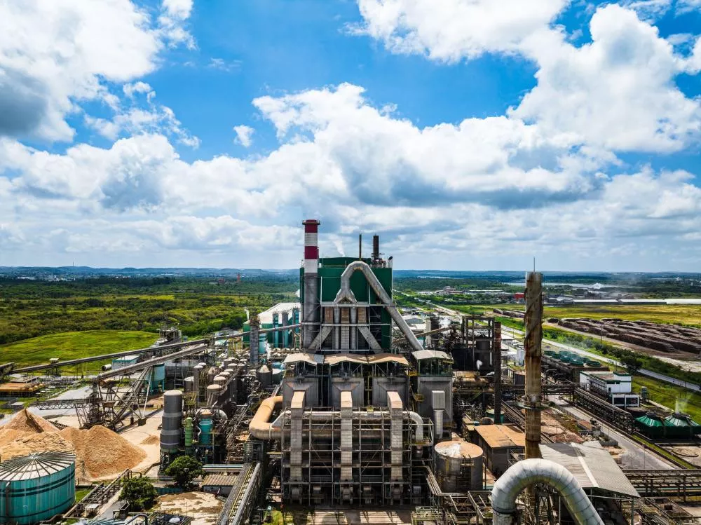 Foto: Acervo Bracell 