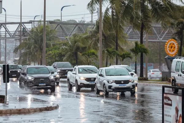 Foto: Tiago Pacheco/PMLF 