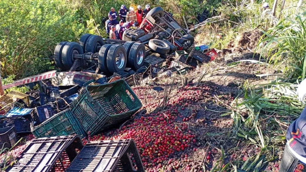 Acidente com carreta na BR-101 Crédito: Reprodução/Bahia10