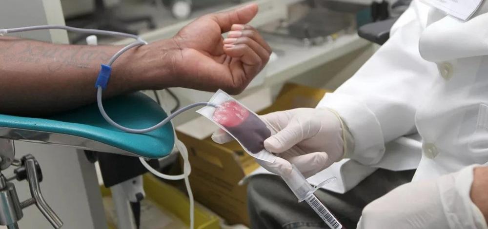 Foto: Divulgação/Hemoba
