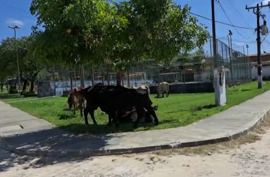 Foto: Leitor - É Notícias